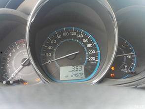 我亲爱的秘书,忠诚与智慧的完美结合